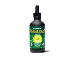 Turkey Tail Mushroom Extract